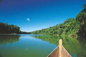 selva peruana sur