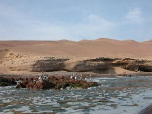 islas ballestas